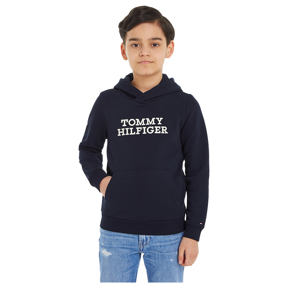 Navy hilfiger hoodie deals