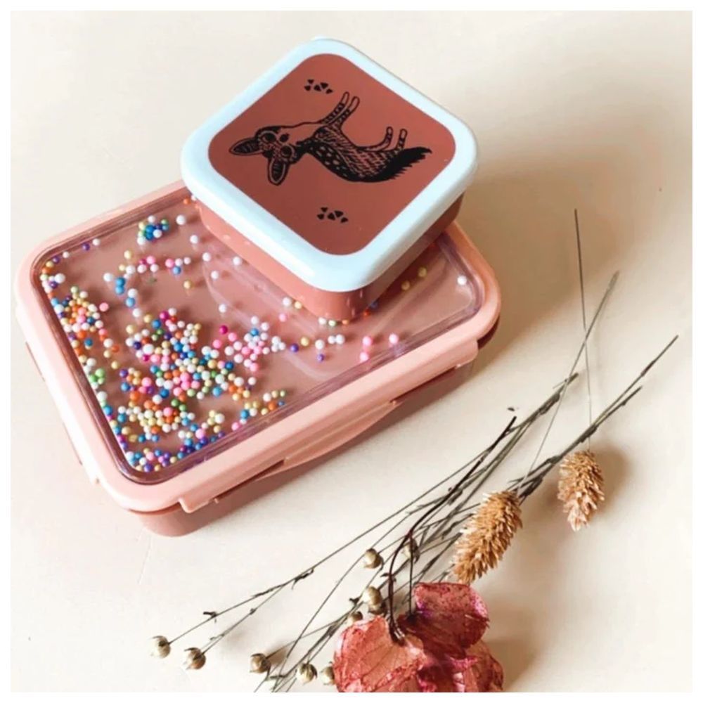 Petit Monkey - Lunchbox - Popsicles Desert Rose