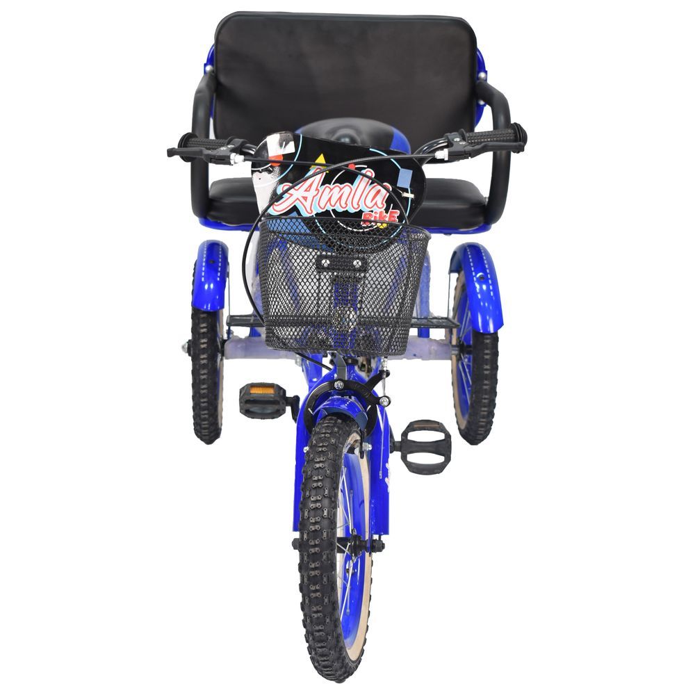 Amla - Three Wheel Bike - 12-Inch - Blue