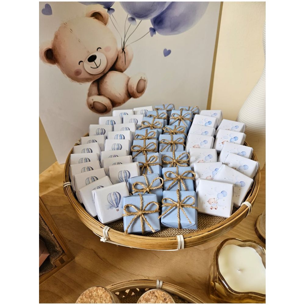 Dream Day Design - Newborn Chocolate Setup - Teddy Bear Theme