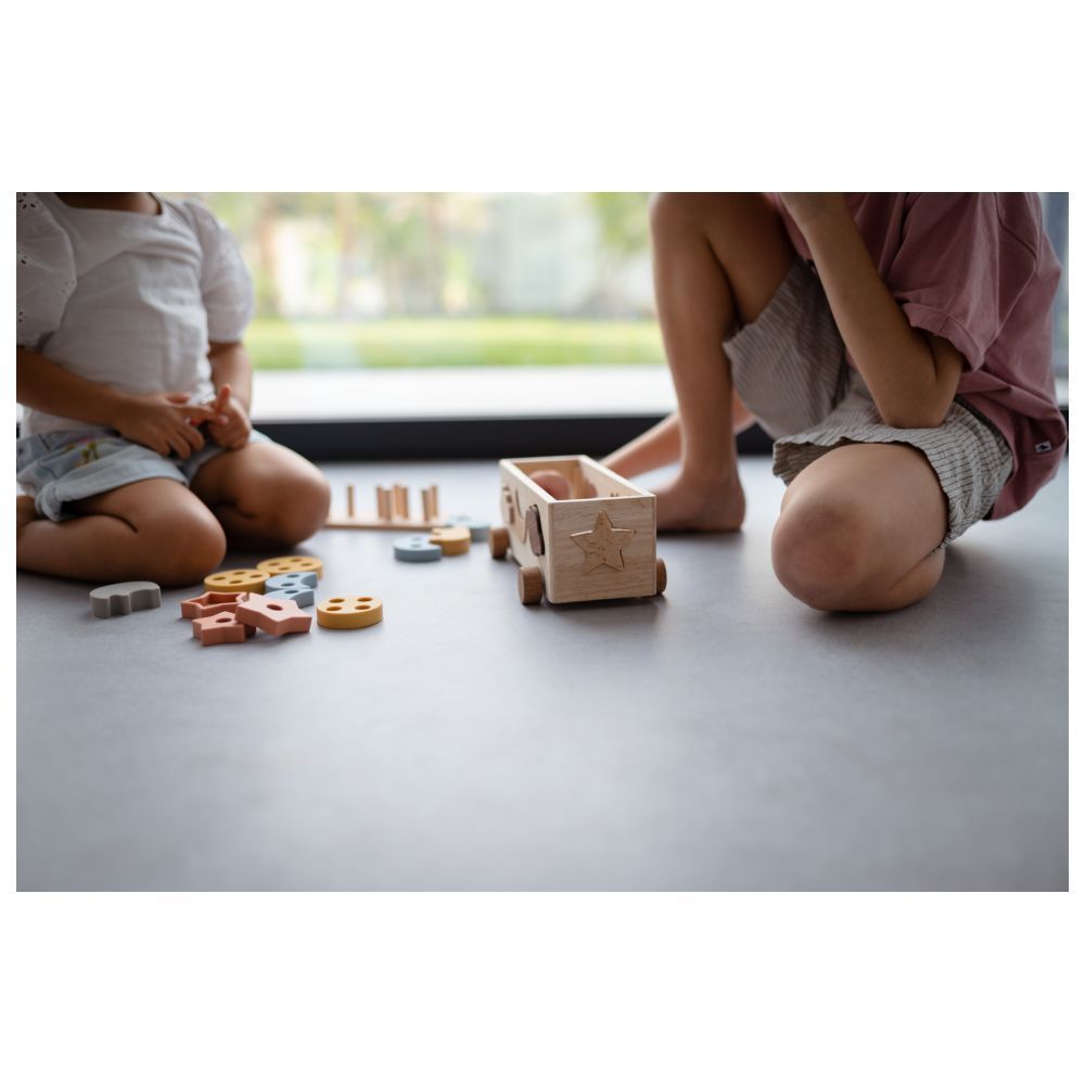 The Rolling Cart - Multifunctional Wooden Pairing Puzzle