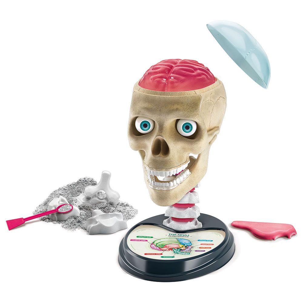 Clementoni - Science & Play Crazy Anatomy Lab 