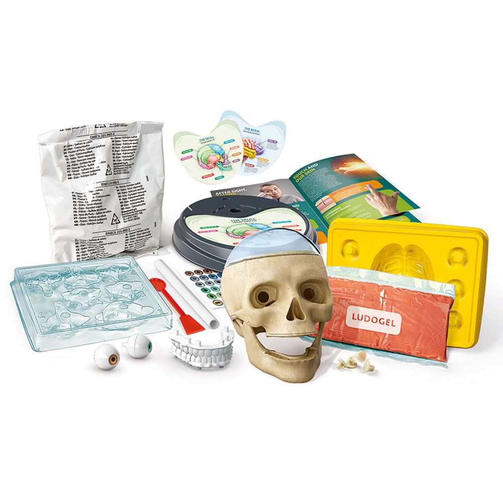 Clementoni - Science & Play Crazy Anatomy Lab 