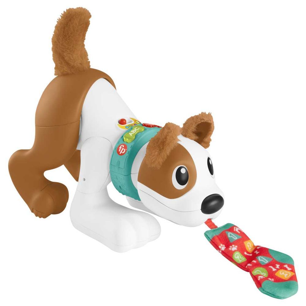 Fisher Price - 123 Crawl With Me Puppy