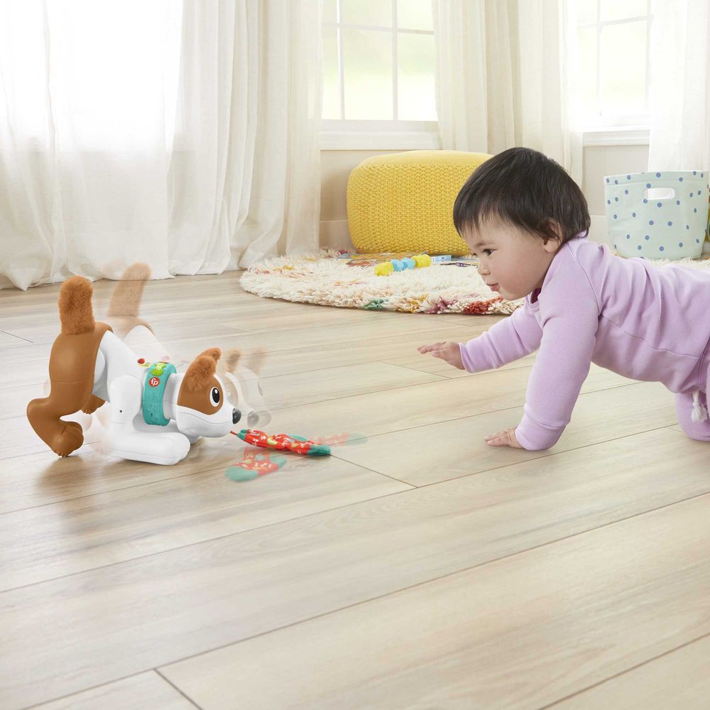 Fisher Price - 123 Crawl With Me Puppy