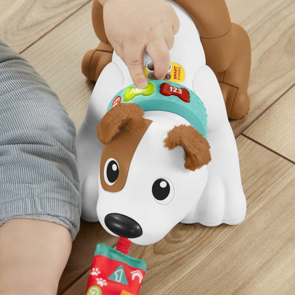 Fisher Price - 123 Crawl With Me Puppy