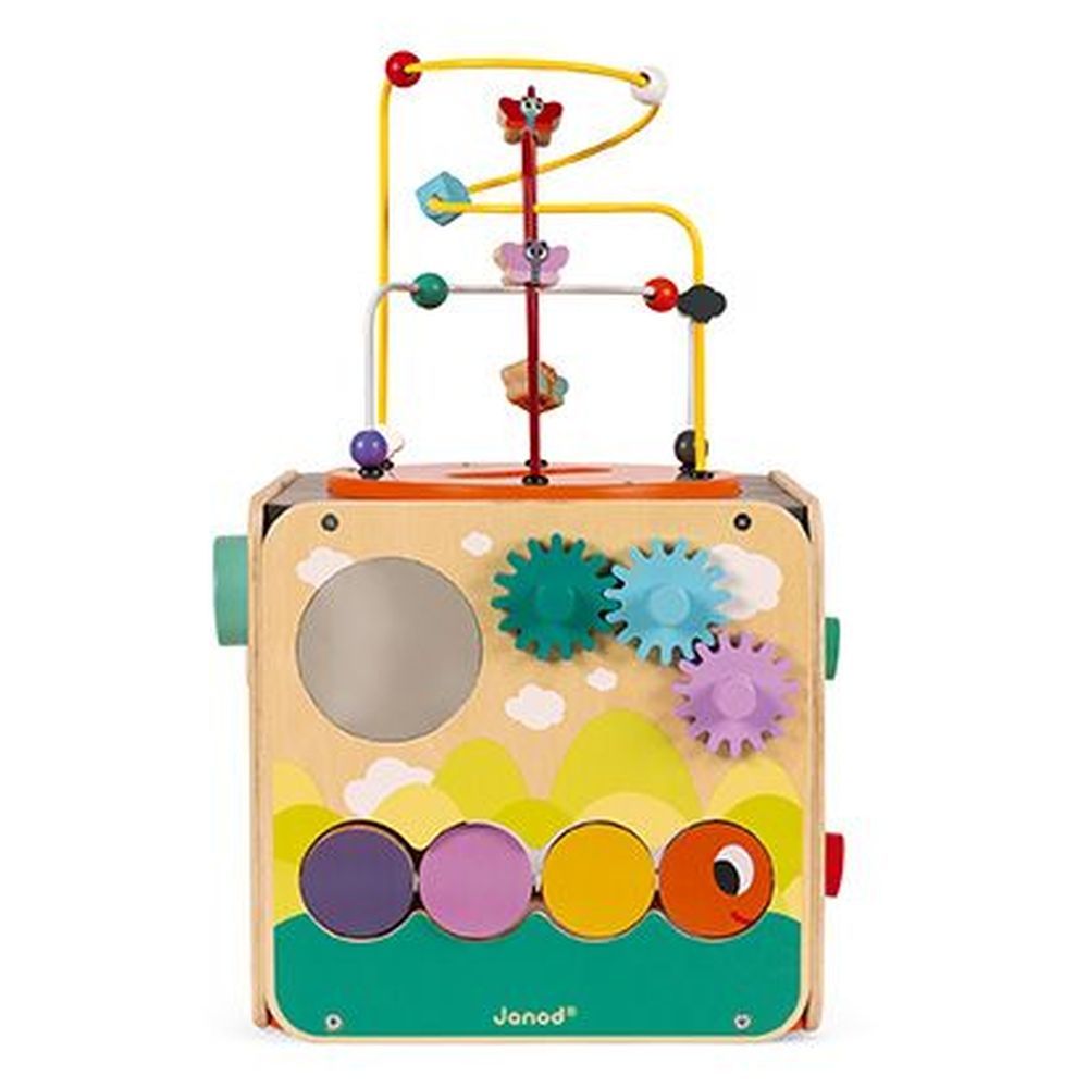 Janod - Multi-Activity Looping Toy