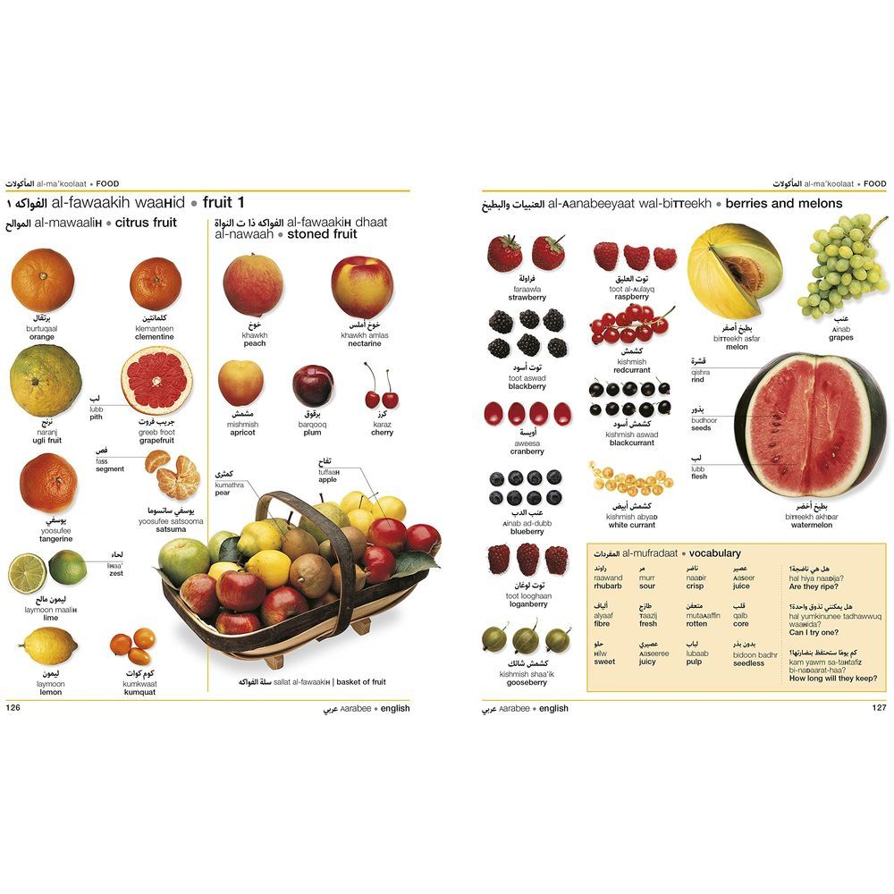 Arabic/English Bilingual Visual Dictionary