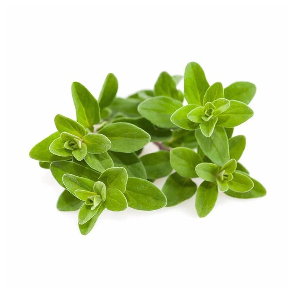 Click & Grow - Marjoram Refill 3pcs