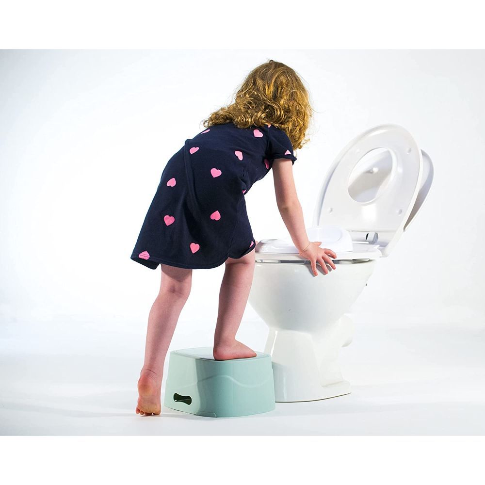 Diaper Champ - Potty Champ - Old Pink