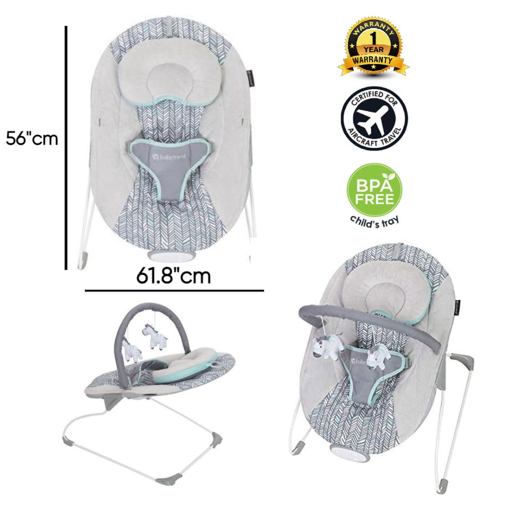 Baby trend 2 in 1 bouncer online