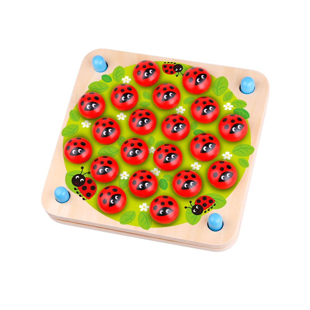 Tooky Toy - Memory Game - Ladybug