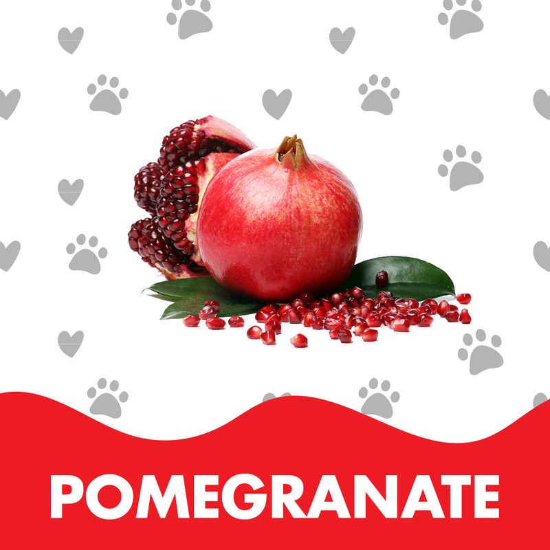 Doctor Pet Pomegranate Cologne 400ML – Hypoallergenic