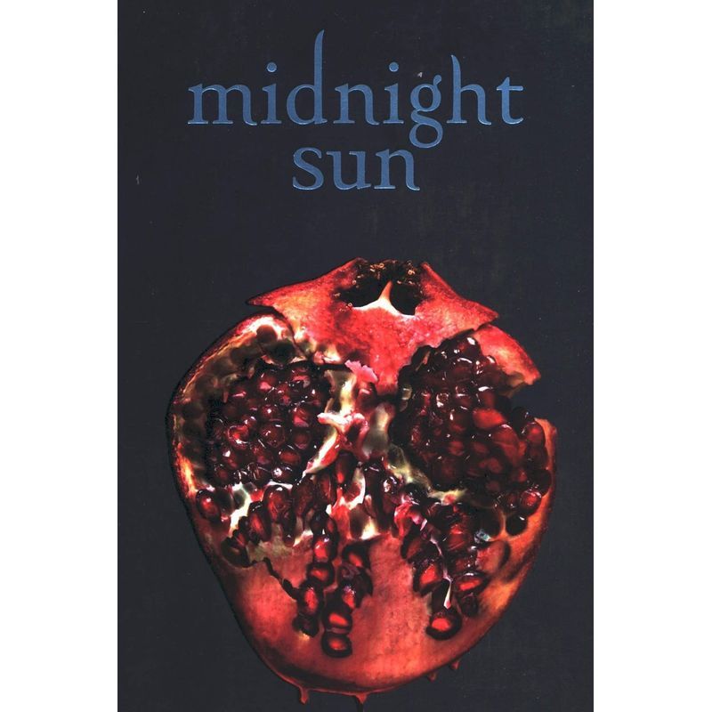 Midnight Sun: Paperback