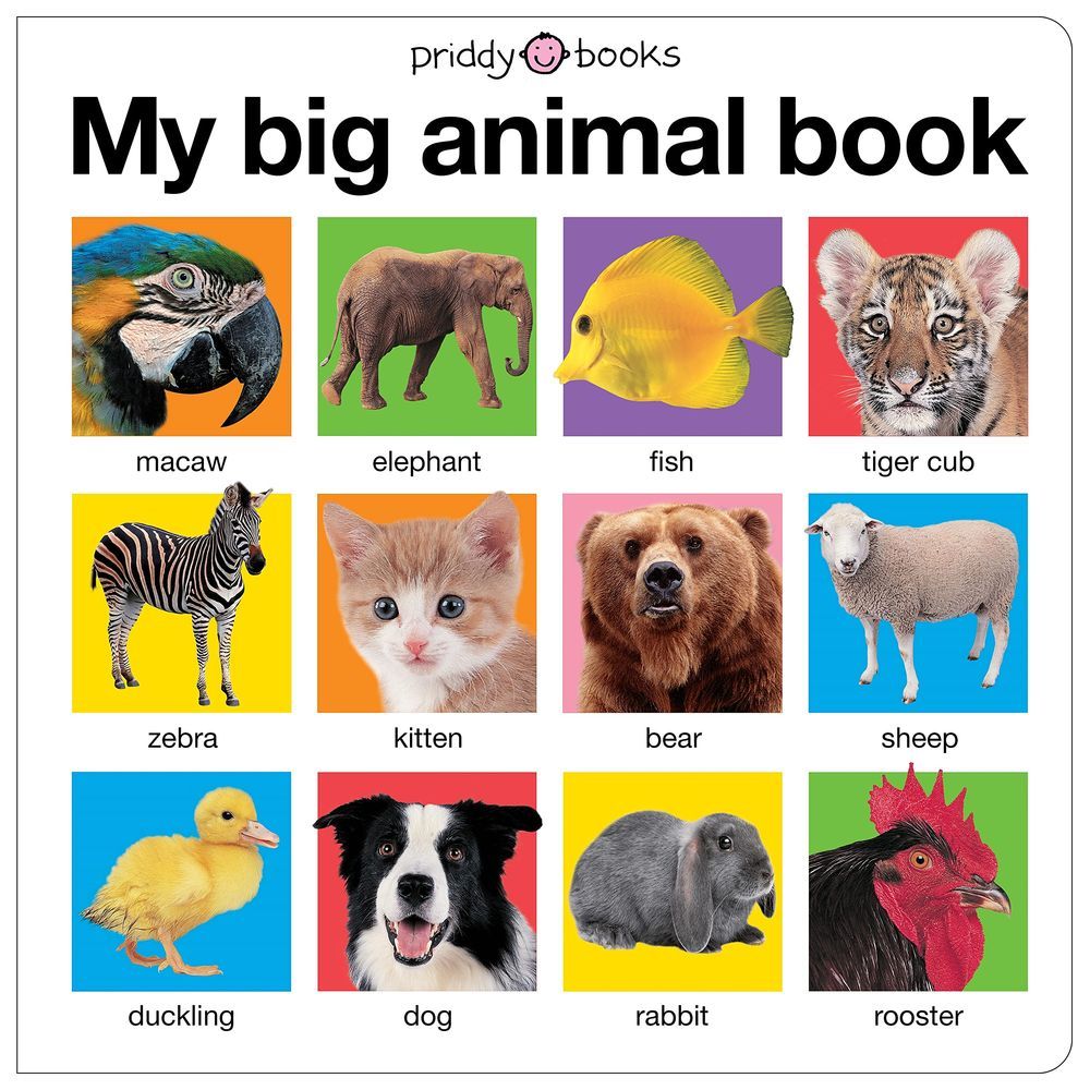 My Big Animal Book