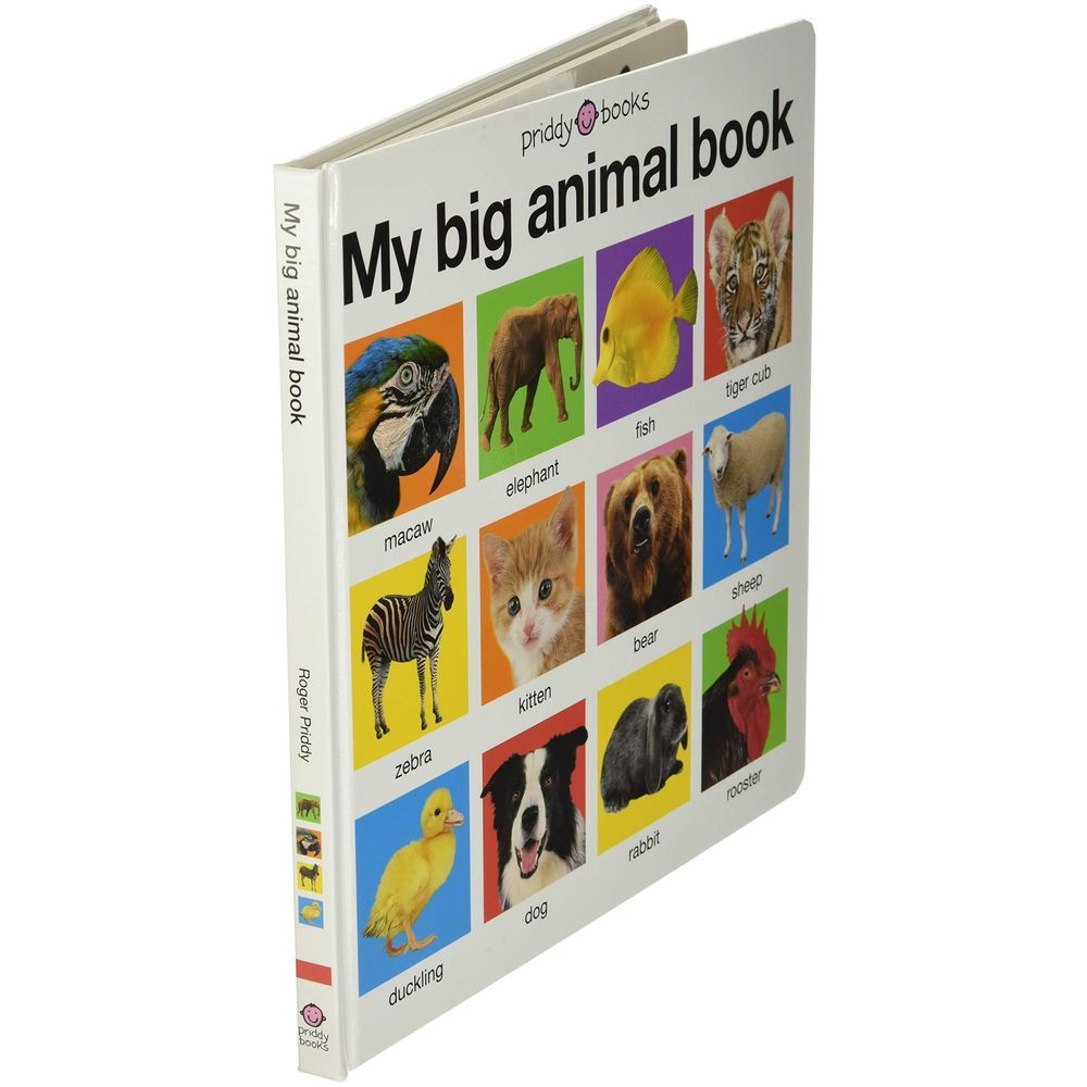 My Big Animal Book