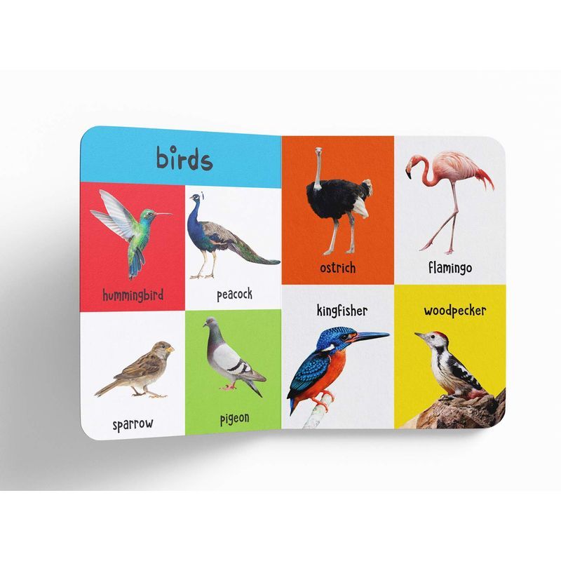 My First 4-In-1 One Wild Animals, Pet And Farm Animals, Birds, Sea Animals