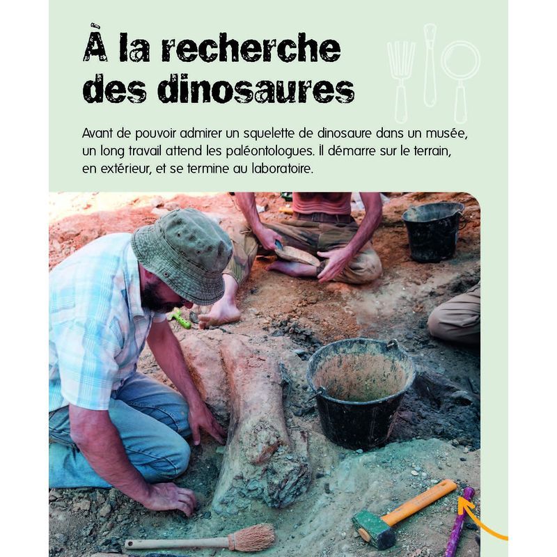 Dinosaures: French