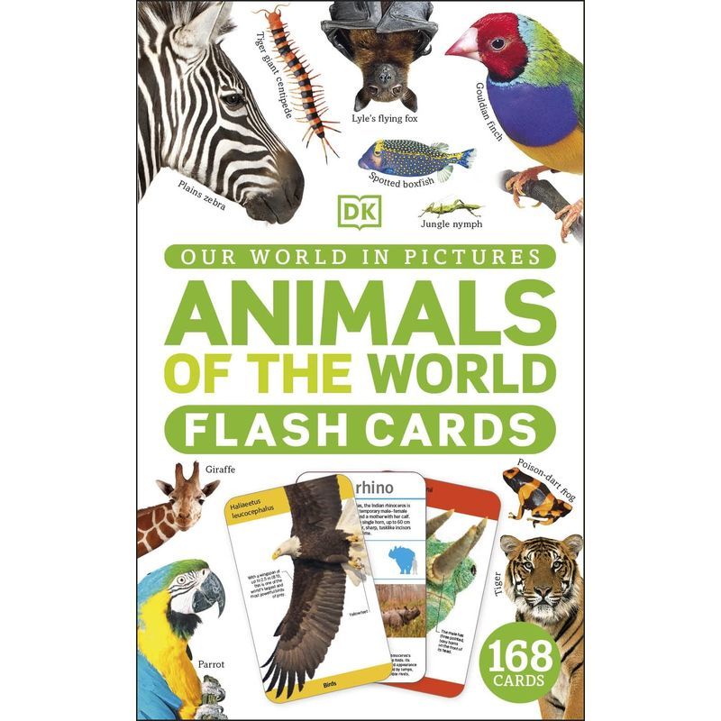 Our World In Pictures Animals Of The World Flash Cards