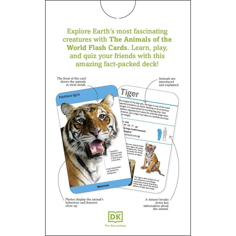 Our World In Pictures Animals Of The World Flash Cards