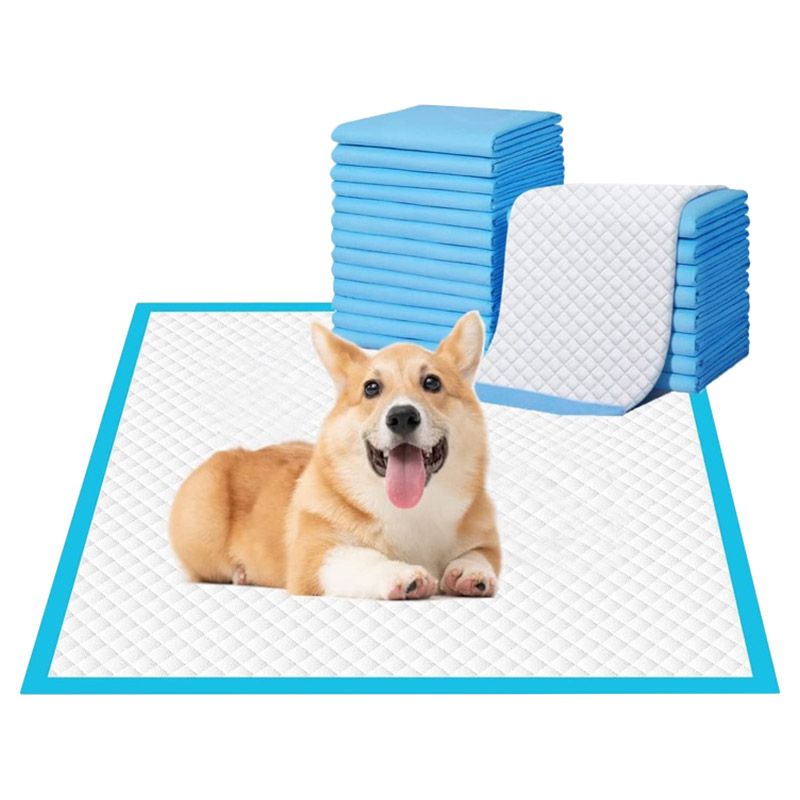 Cherry Medical Supply - Pet Training Pads - 100pcs - Large