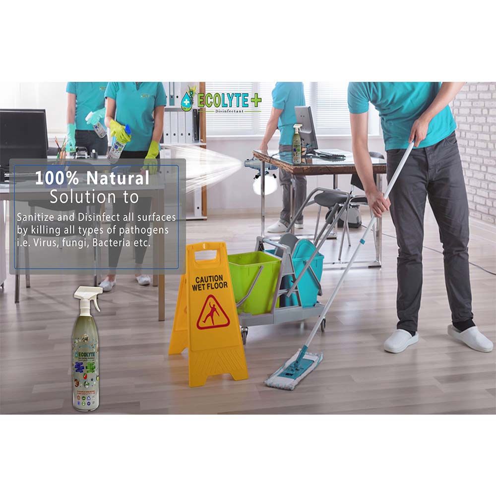 Ecolyte+ - Multi Surface Disinfectant 100% Natural - 1L - 3pc