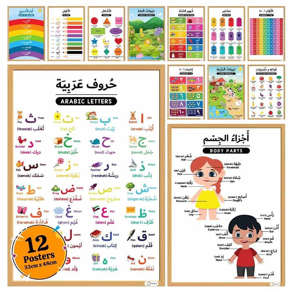 Essen - Arabic Educational Preschool Posters Chart Set of 12