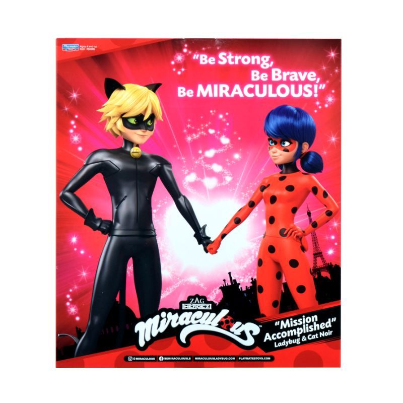 Miraculous - Mission Accomplished - Ladybug & Cat Noir