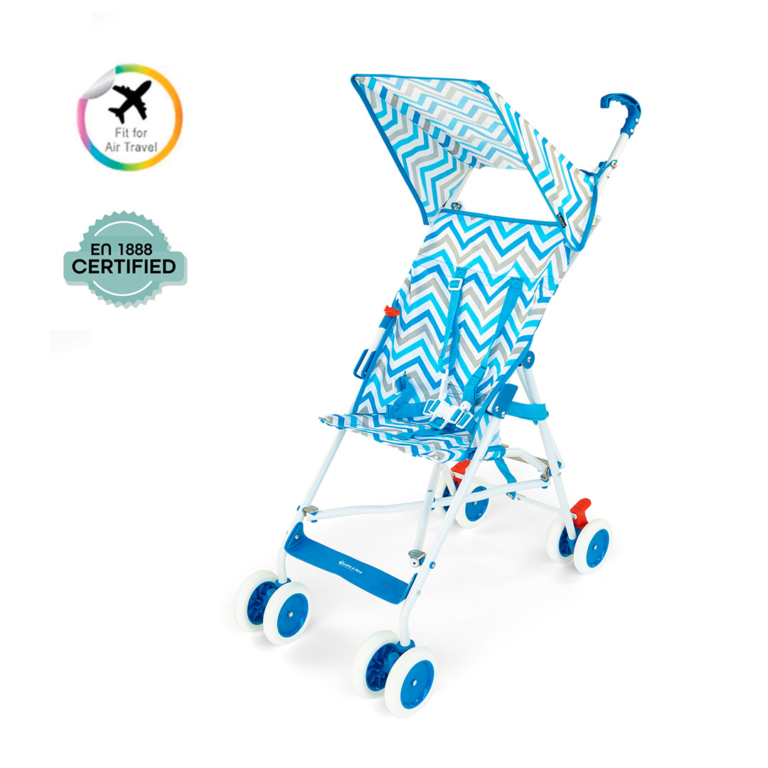 Portable buggy online