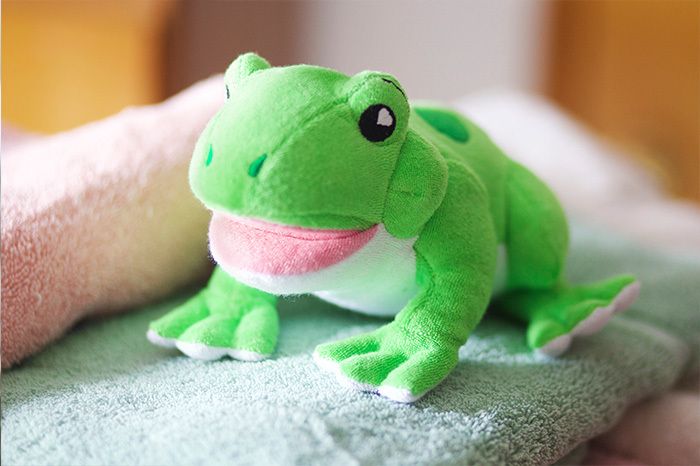 SoapSox William The Frog