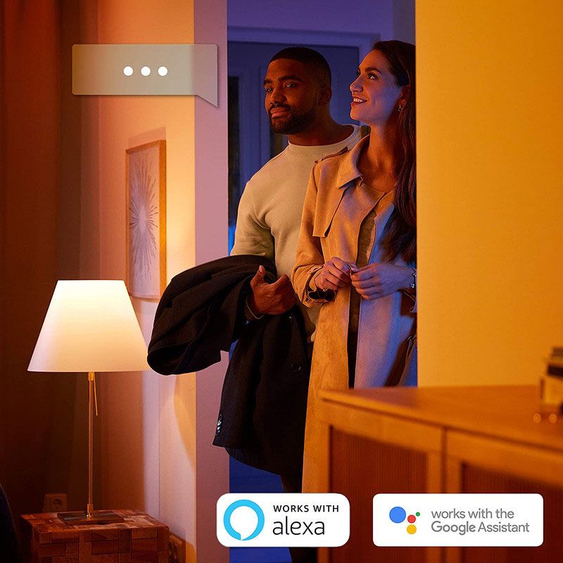 Philips Hue - UAE Light Strip Plus Extension V4 - 1M