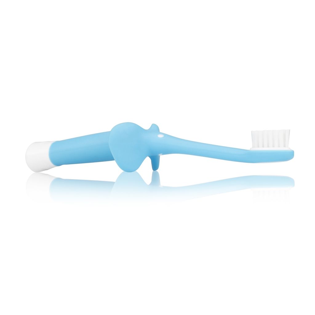 Dr. Brown's - Infant-to-Toddler Toothbrush Blue