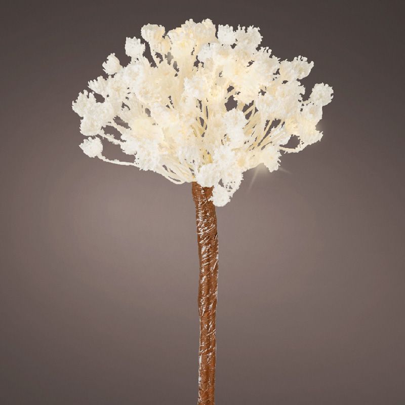 Kaemingk - Micro Led Flower Plastic Steady 
Indoor