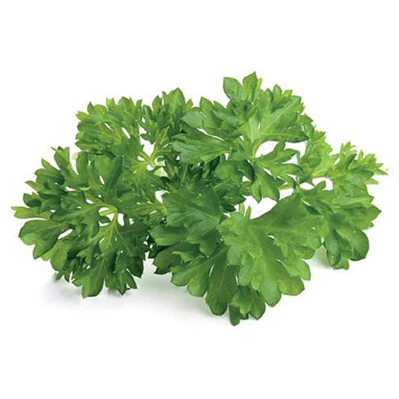 Click & Grow - Seeds - Parsley