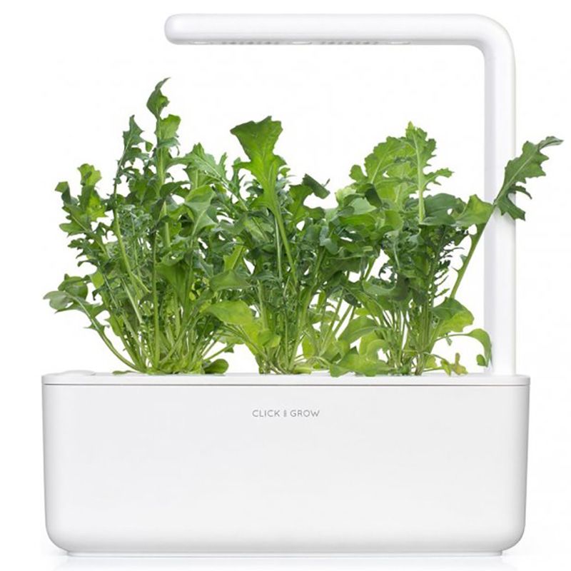 Click & Grow - Seeds - Arugula