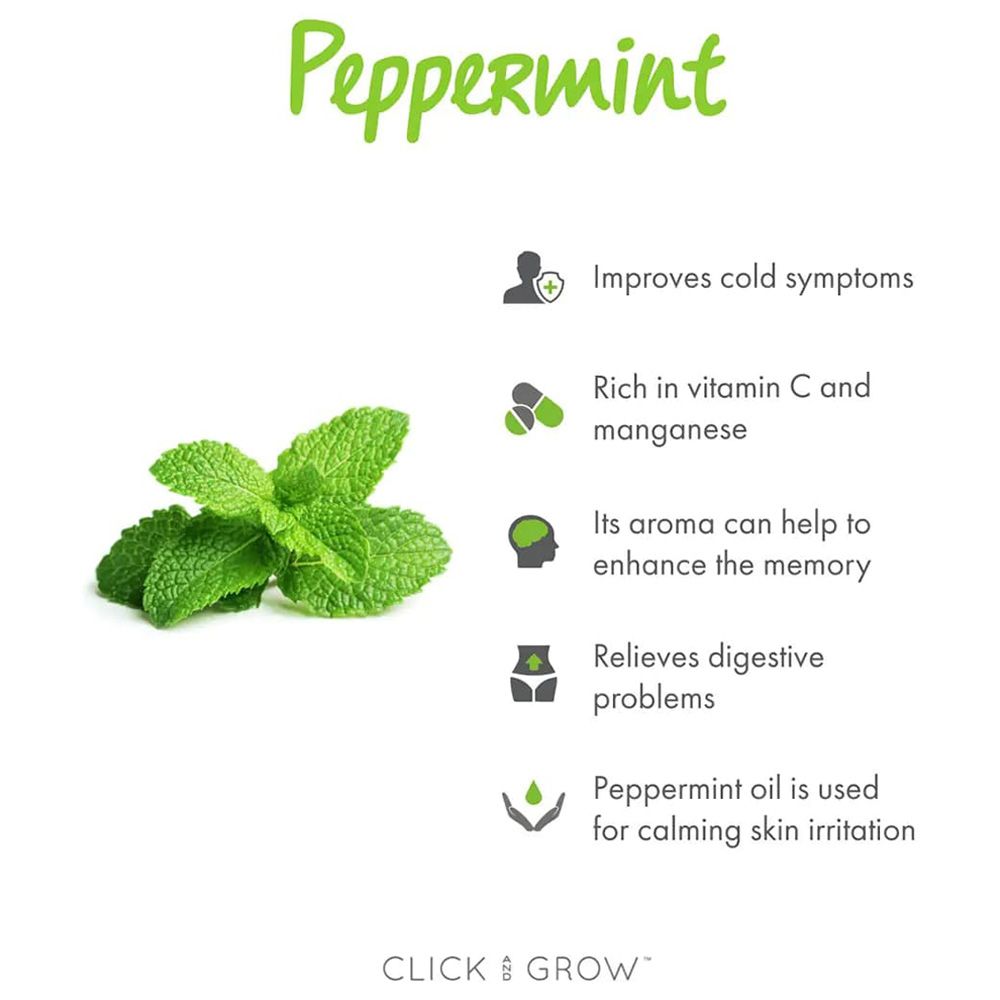 Click & Grow - Seeds - Peppermint