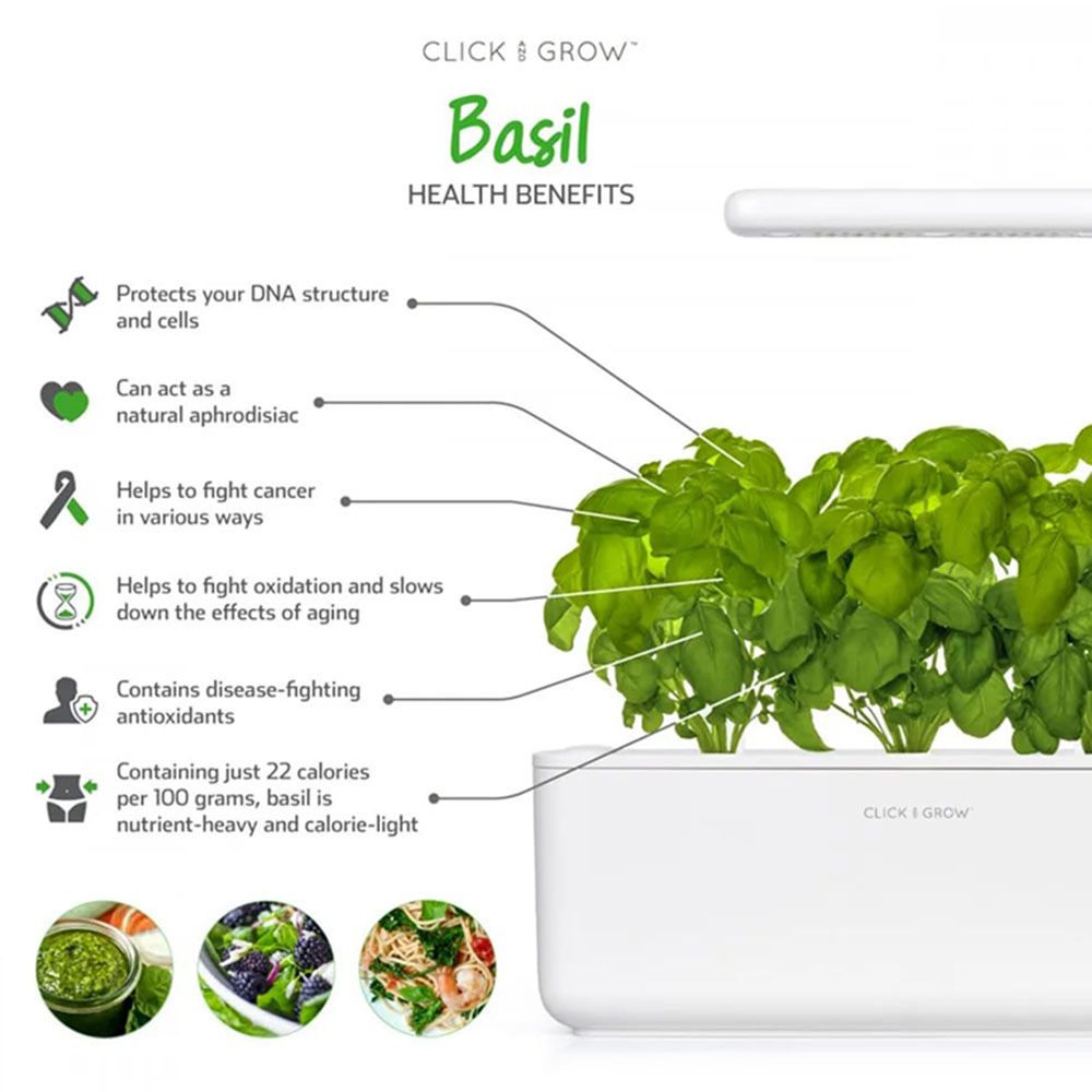 Click & Grow - Seeds - Basil