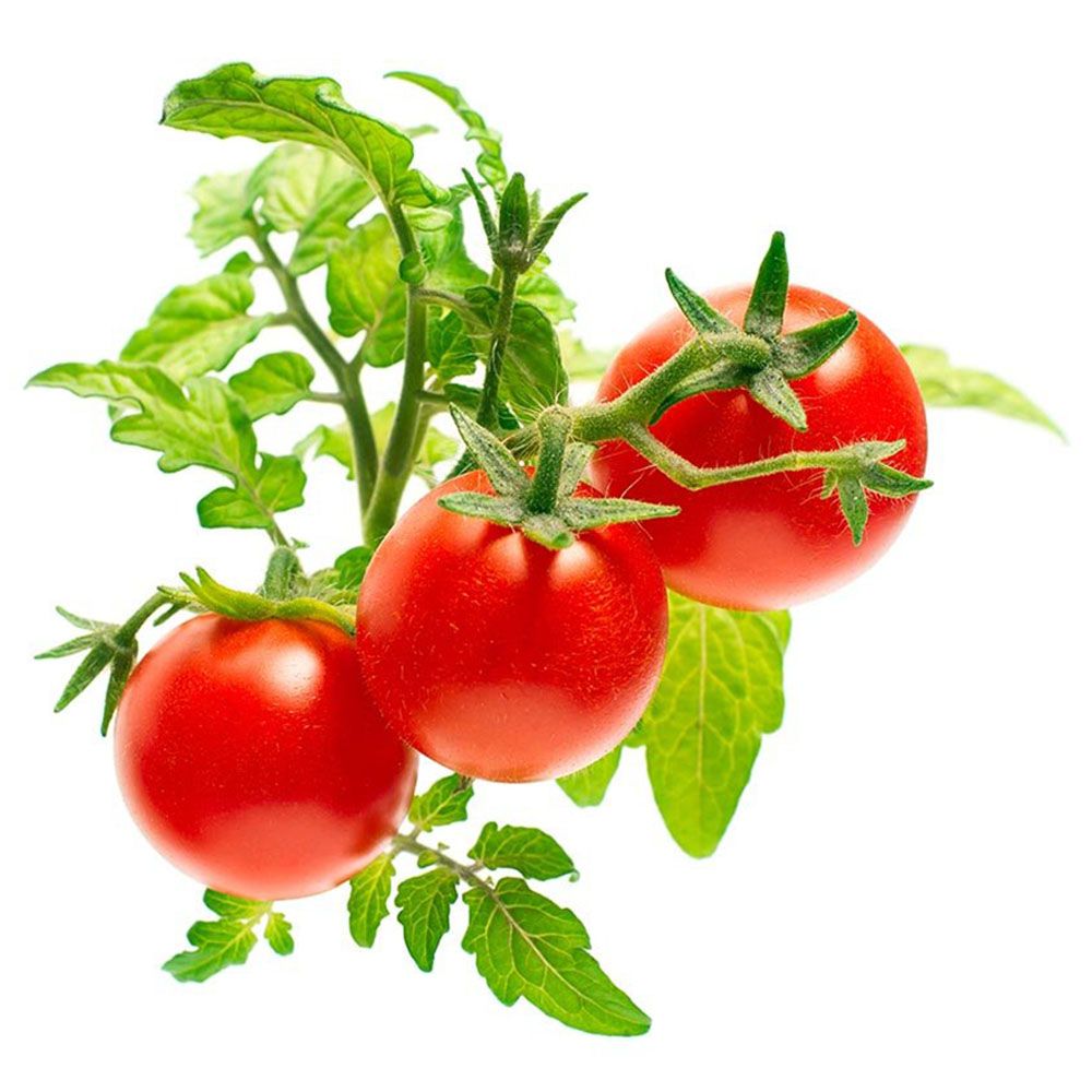 Click & Grow - Seeds - Mini Tomato