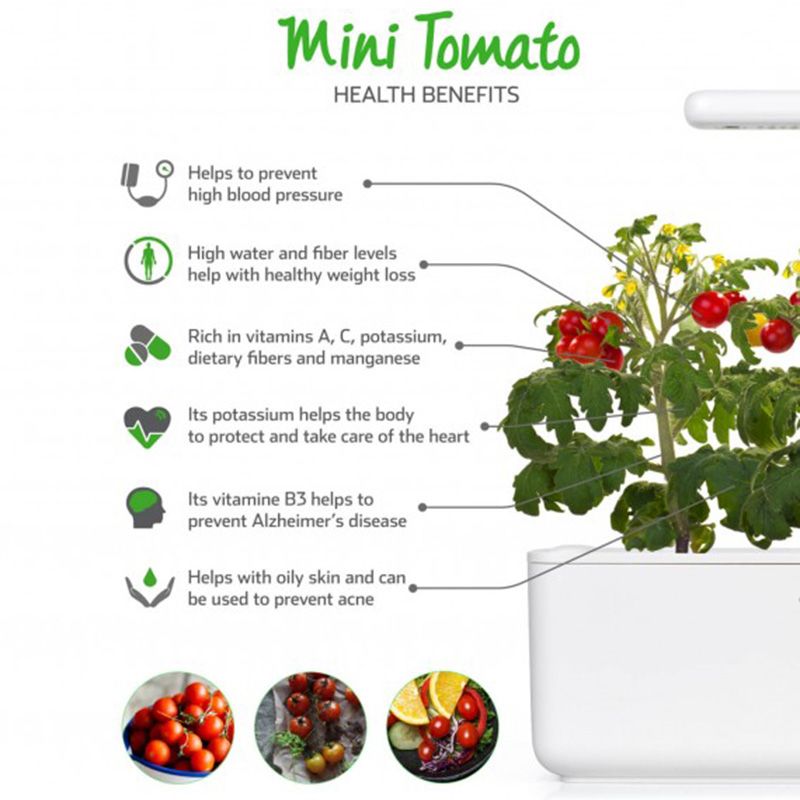 Click & Grow - Seeds - Mini Tomato