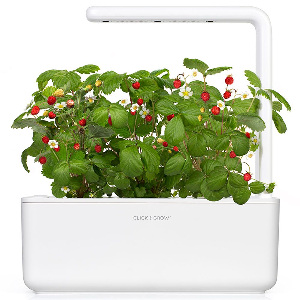 Click & Grow - Indoor Smart Garden 3 - White