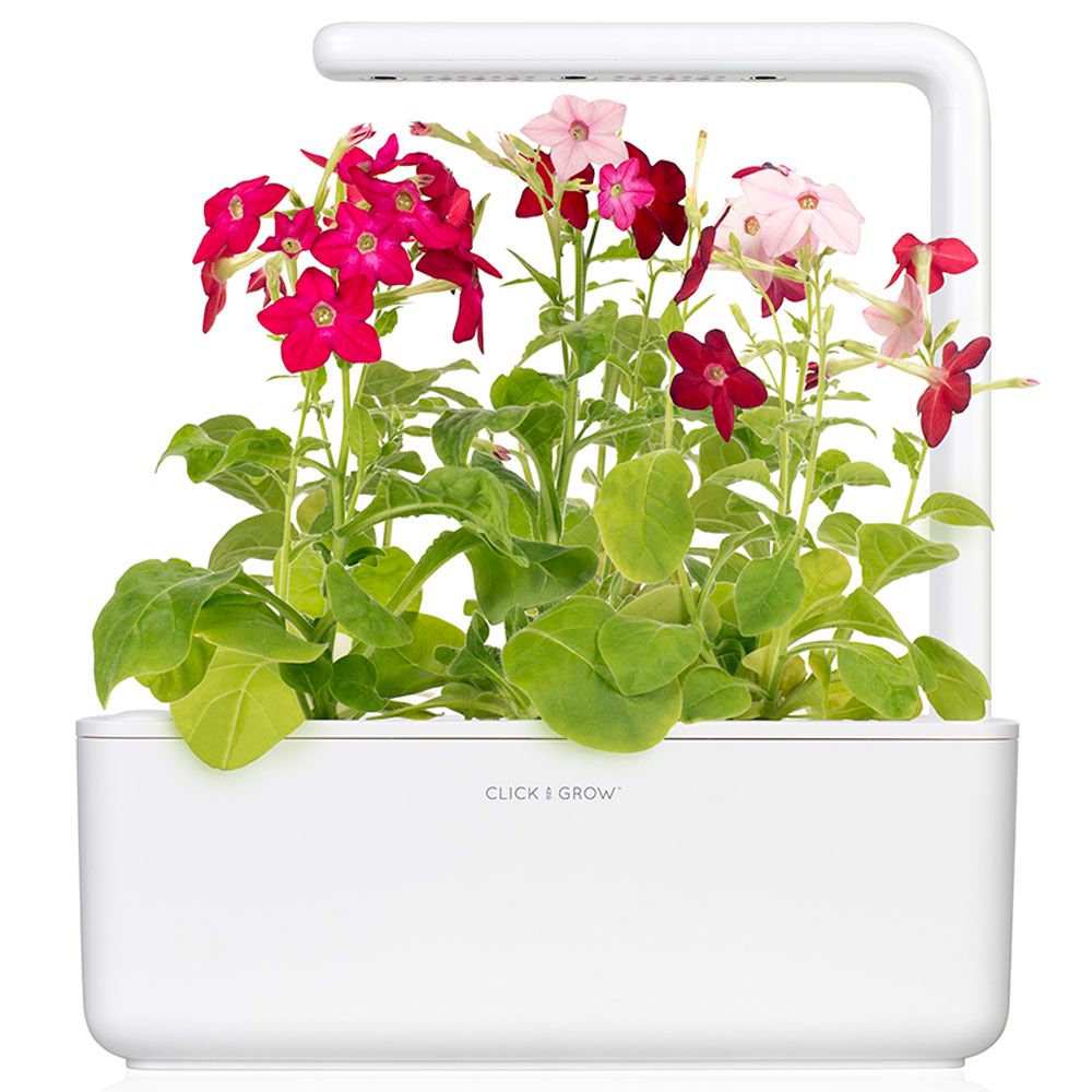 Click & Grow - Indoor Smart Garden 3 - White