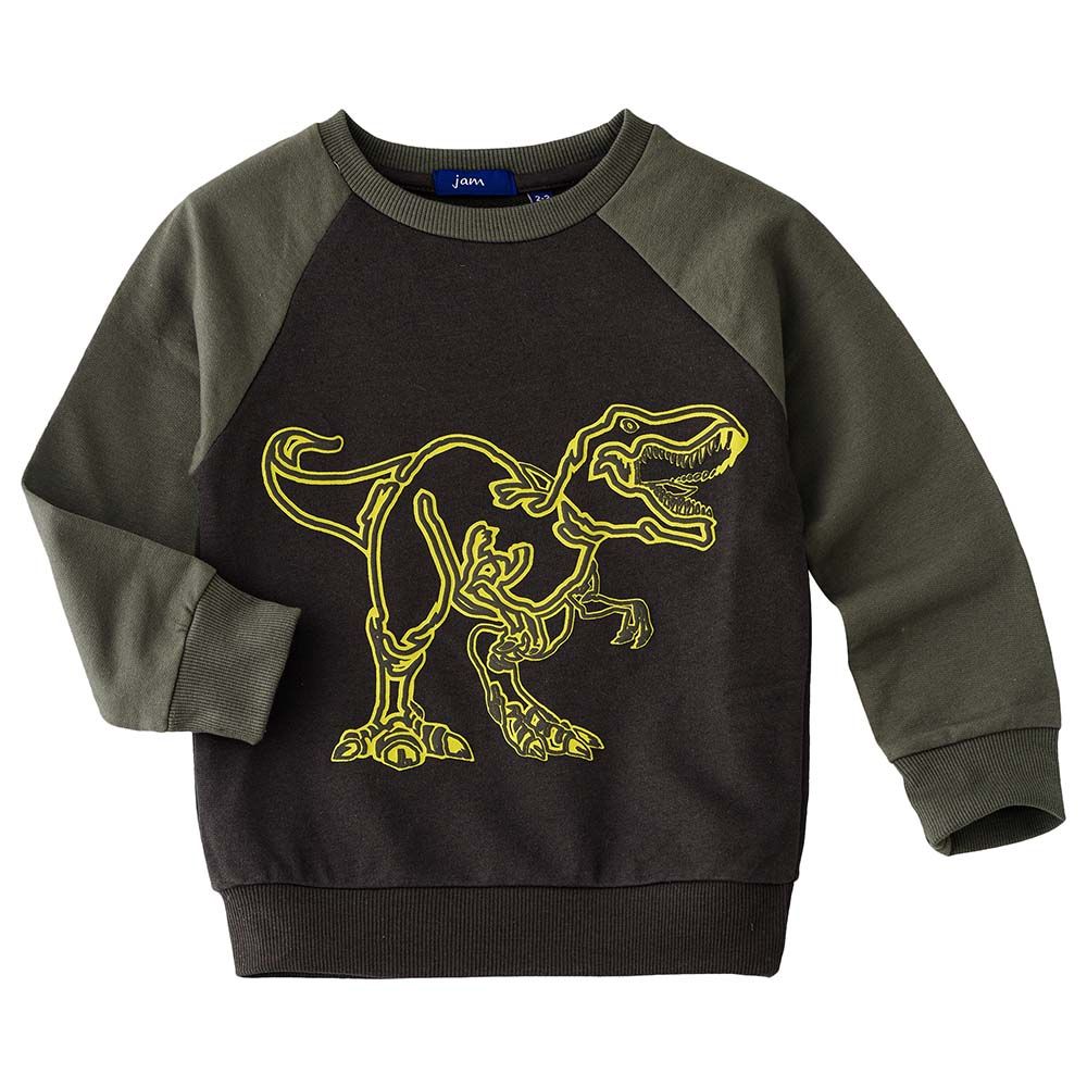 Jam - Dino Printed Sweat Top - Olive Green