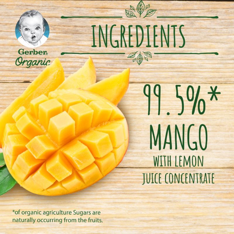 Gerber - Organic Mango 90g