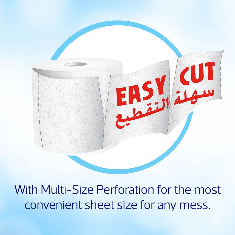 Sanita - Maxi Roll - 1 Roll - 1,000 Sheets 