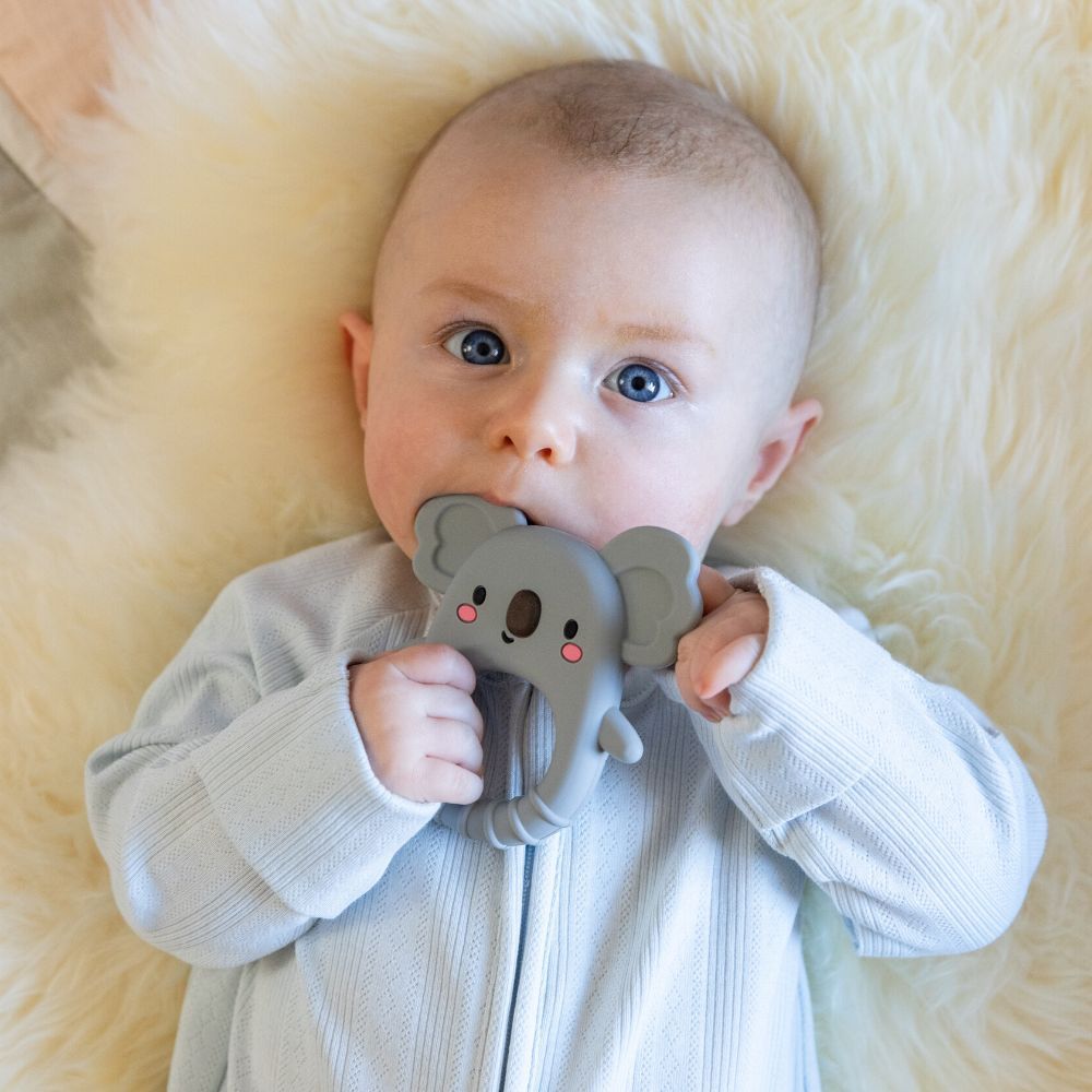 Tiger Tribe - Silicone Teether - Koala