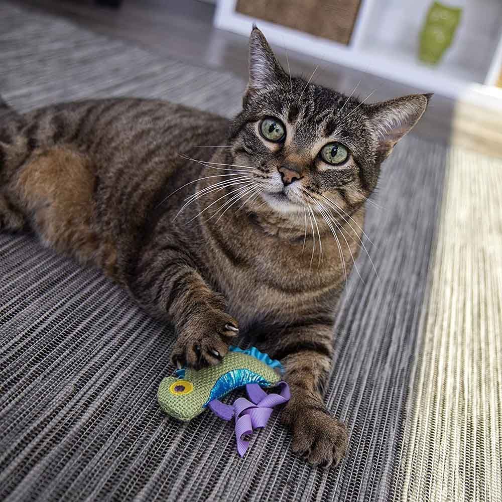 Petlinks - Safari Happynip Crinkle Chameleon Cat Toy