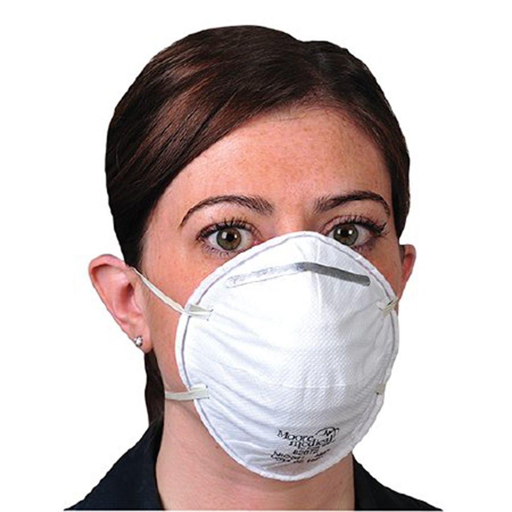 Model 9502+ Professional Protective Mask - 2pcs