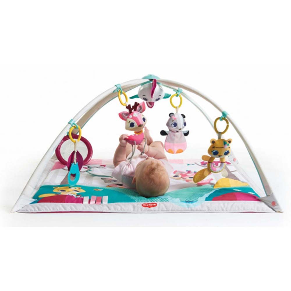 Tiny Love - Tiny Princess Tale Developmental Playgym Newborn