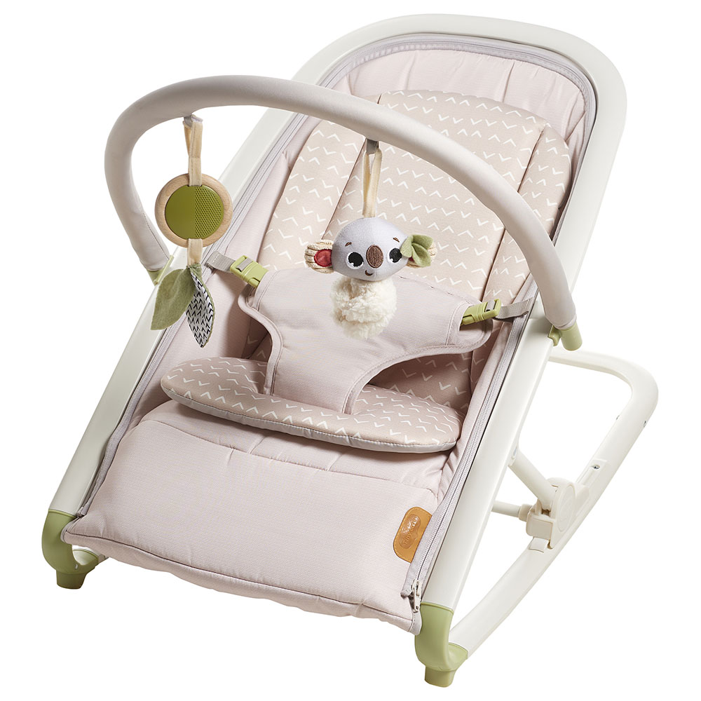 Best 2 in 1 baby swing and bouncer online