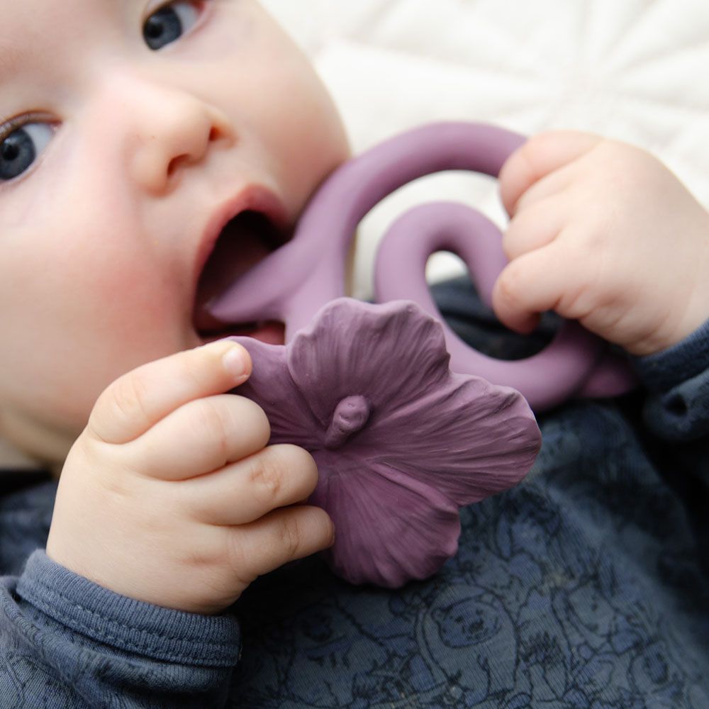 Natruba - Teether Hawaii Flower - Purple